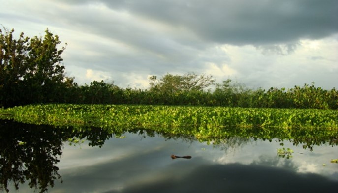 Conoce el Chocó - Hotel Quibdó Plaza - Quibdo, Choco - image - 1
