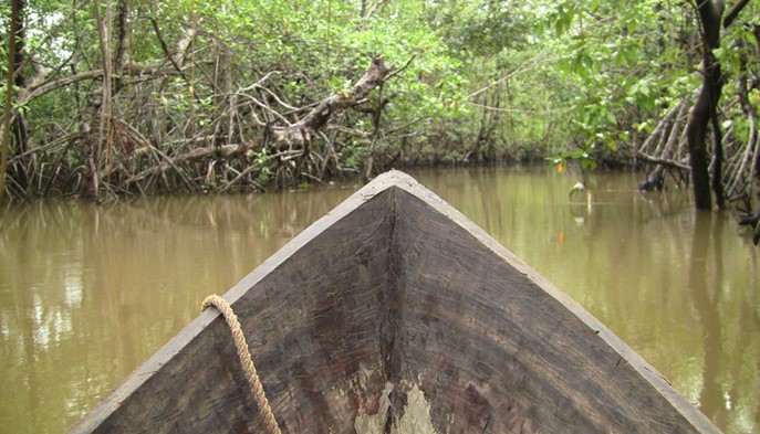 Conoce el Chocó - Hotel Quibdó Plaza - Quibdo, Choco - image - 2
