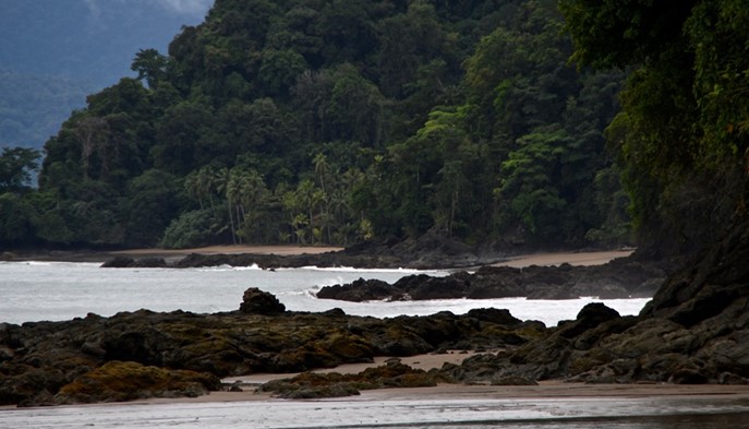 Conoce el Chocó - Hotel Quibdó Plaza - Quibdo, Choco - image - 4