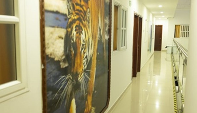 Hotel Quibdó Plaza - Quibdo, Choco - image - 30